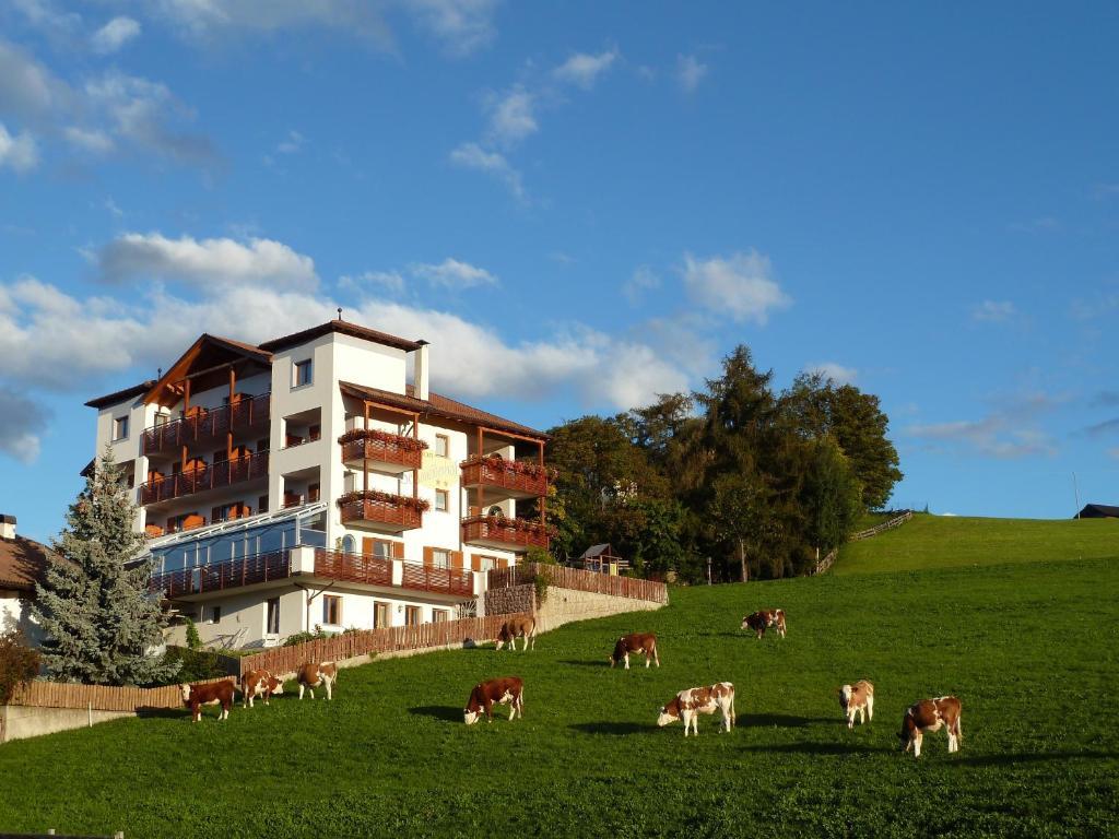 Pension Schlaneiderhof Meltina Pokój zdjęcie